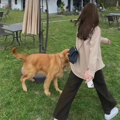 爱斯基摩飞人